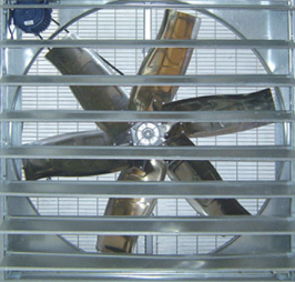 ؓ(f��)���L(f��ng)�C�͹��I(y��)���L(f��ng)�ȵą^(q��)�e���˽��